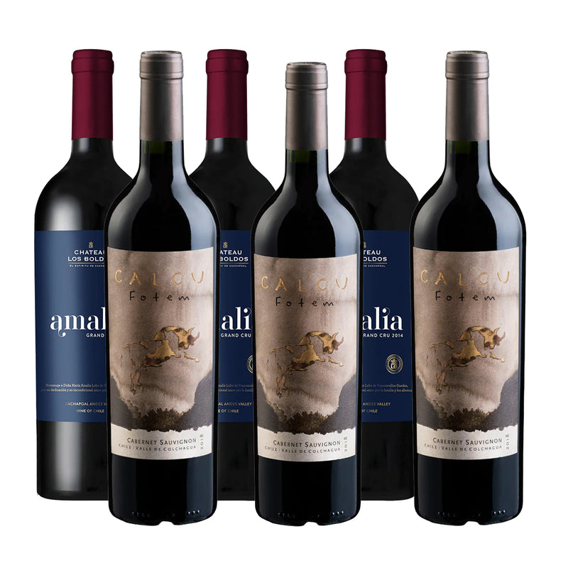 PACK GRANDES VINOS