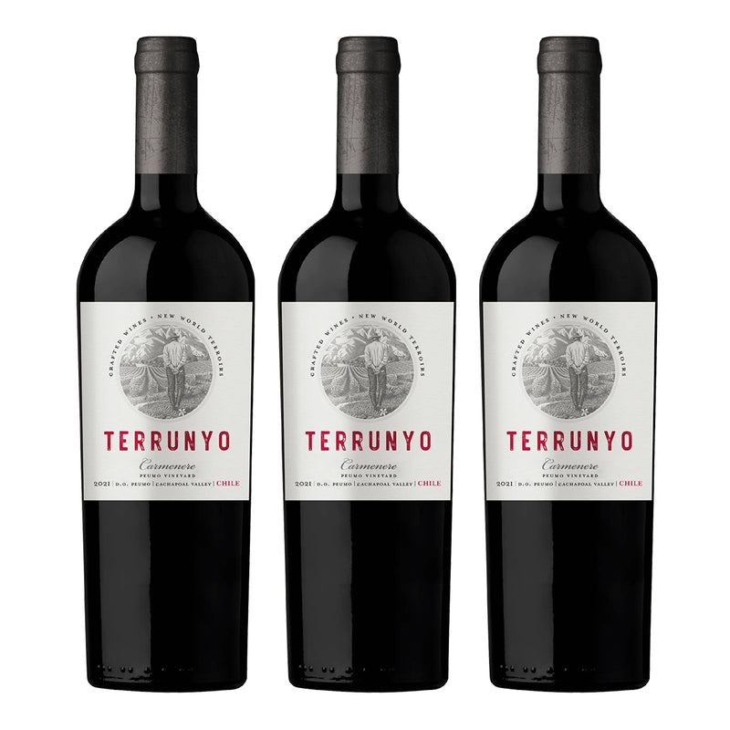 PACK X3 CONCHA Y TORO TERRUNYO CARMENERE