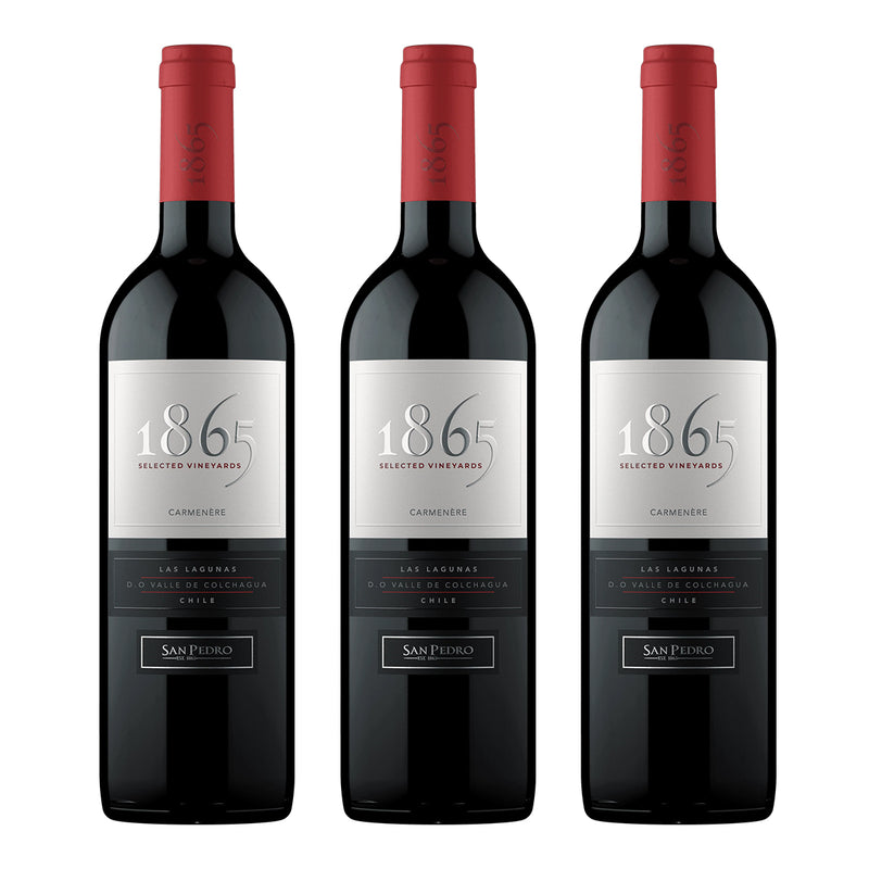 PACK X3 SAN PEDRO 1865 CA 750 CC