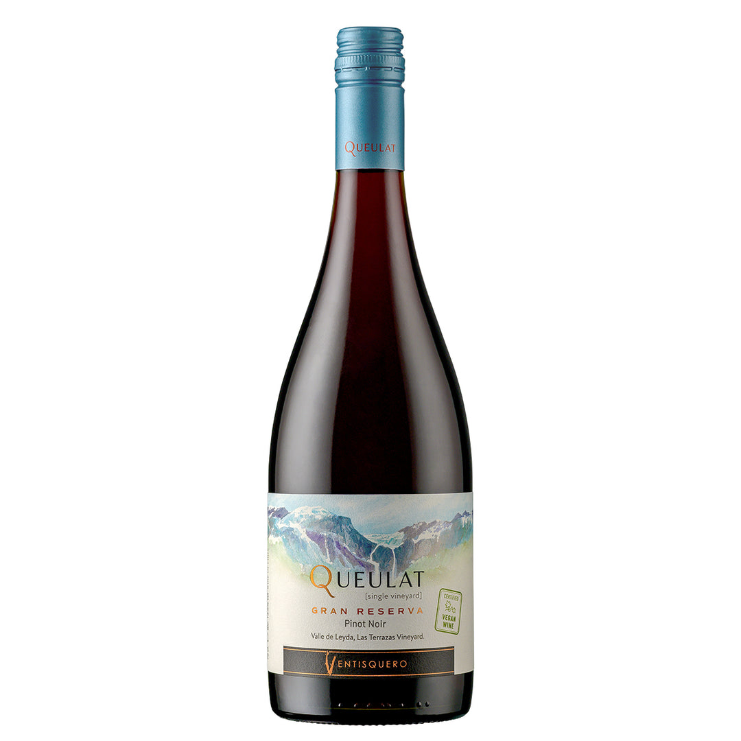 QUEULAT SINGLE VINEYARD GRAN RESERVA PINOT NOIR 750 ML – El Mundo