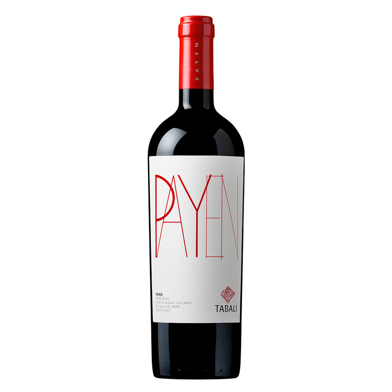 TABALI PAYEN SYRAH 750 ML