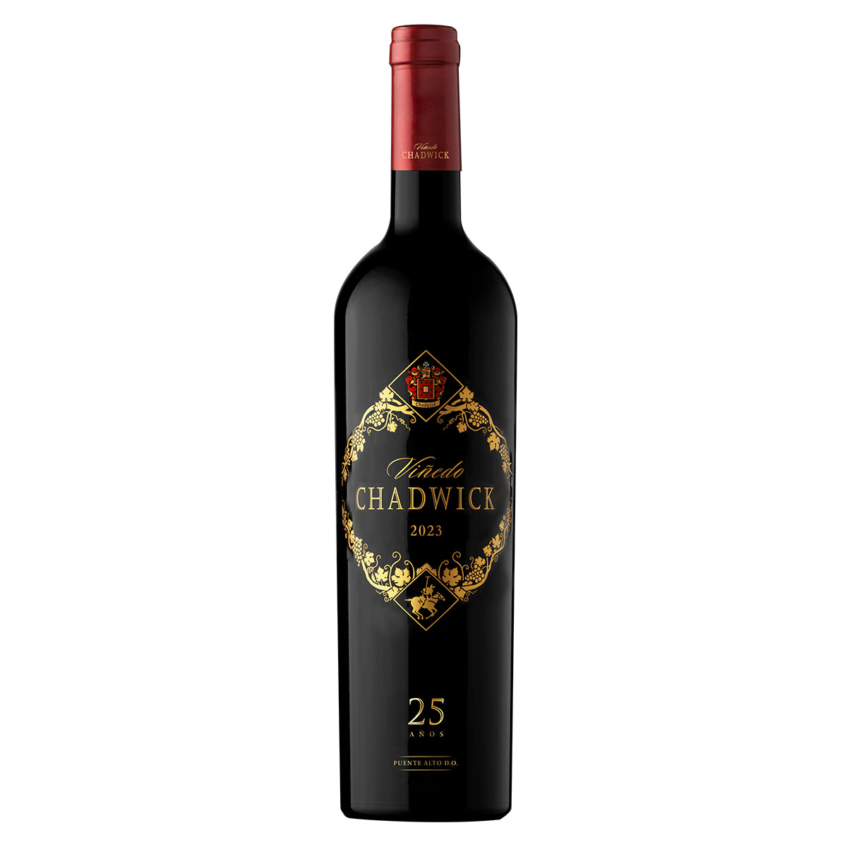 VIÑEDO CHADWICK 2023 · EDICIÓN 25 AÑOS