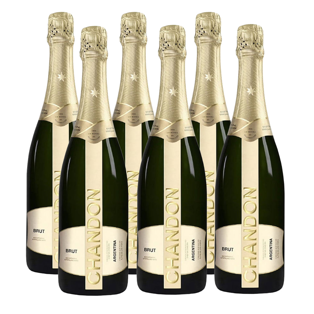 CAJA X 6 MOET ESPUMANTE CHANDON BRUT – El Mundo del Vino