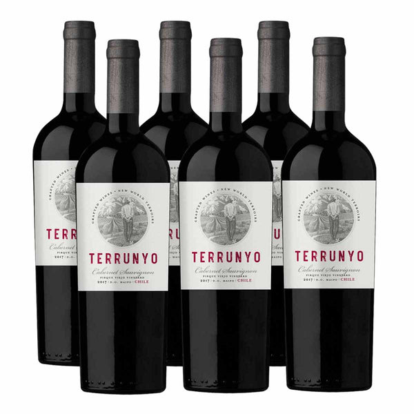 Pack x6 CONCHA Y TORO TERRUNYO CABERNET SAUVIGNON 750 ML