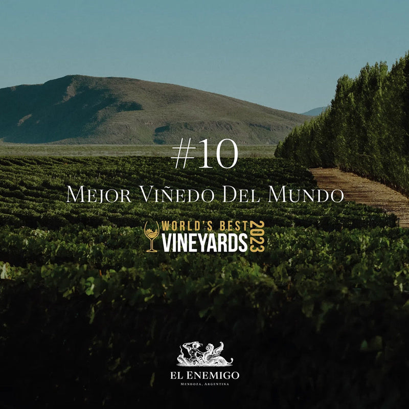 EL ENEMIGO MALBEC 750 ML