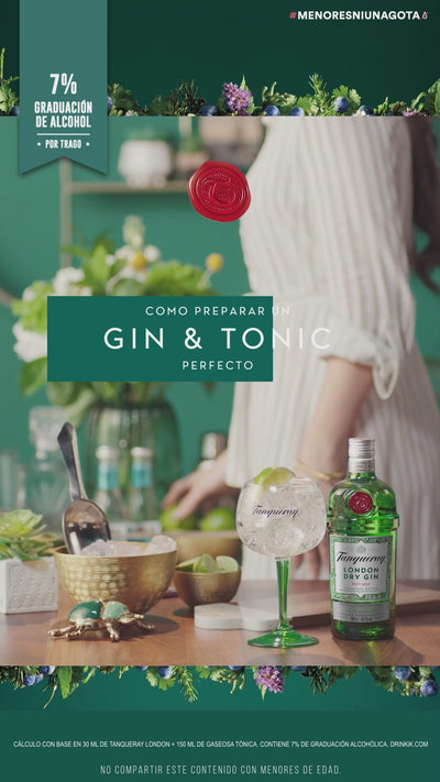 GIN TANQUERAY LONDON DRY 750 ML